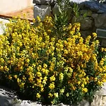 Rural בית נופש קריקווניצה