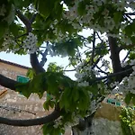 Rural בית נופש קריקווניצה