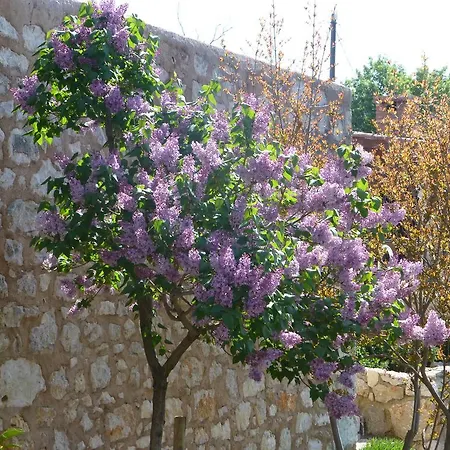 بيت للعطل Rural
