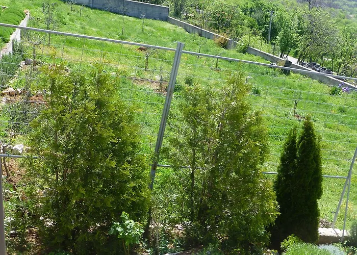 Rural *
