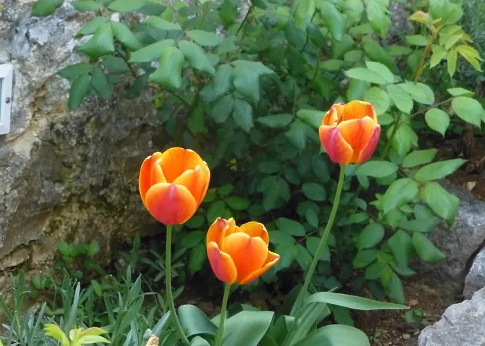 度假居 Rural 茨里克韦尼察