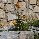 Rural Casa vacanze Crikvenica