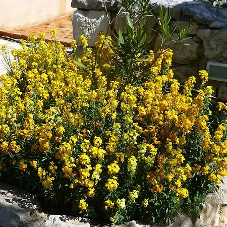 Rural Holiday home Crikvenica