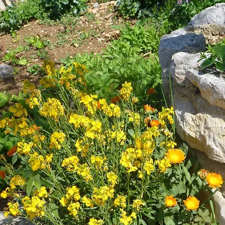 Holiday home Rural Crikvenica