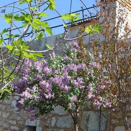 Ferienhaus Rural Crikvenica