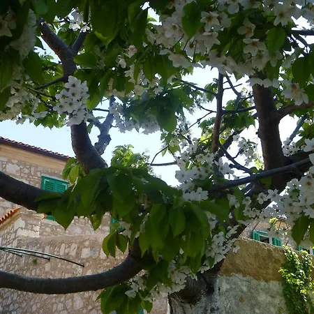 Rural Сasa de vacaciones Crikvenica