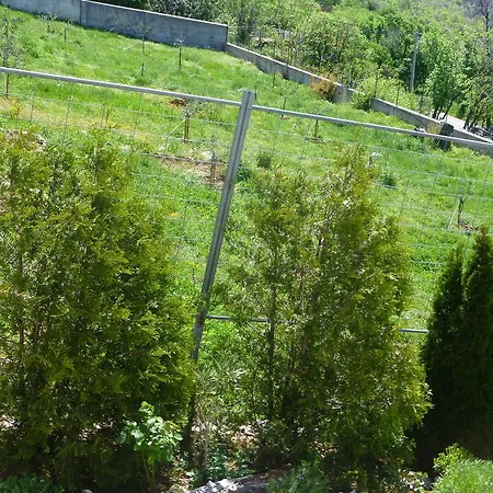 Rural *