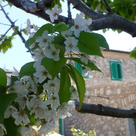 Rural Ferienhaus Crikvenica