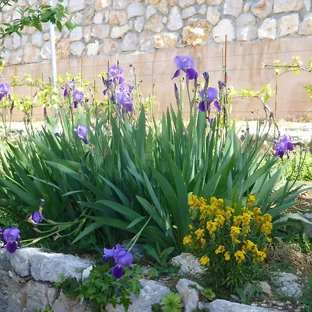 Ferienhaus Rural Crikvenica