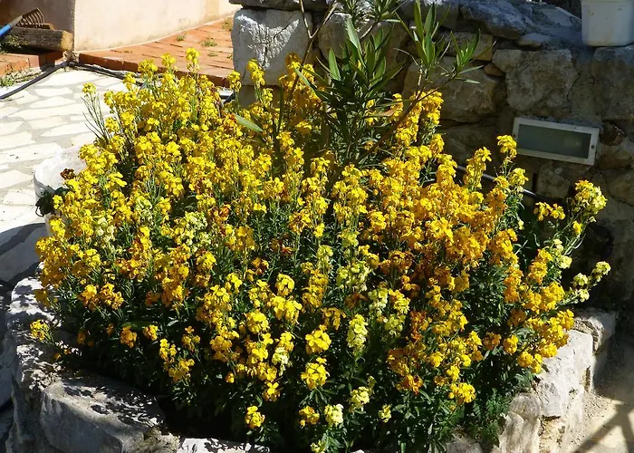 Rural Semesterbostad Crikvenica