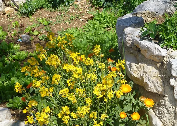 Semesterbostad Rural Crikvenica