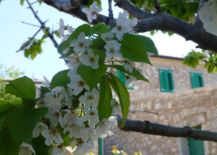 Rural Semesterbostad Crikvenica