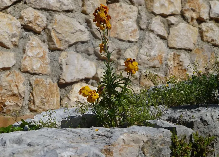 Rural Semesterbostad Crikvenica